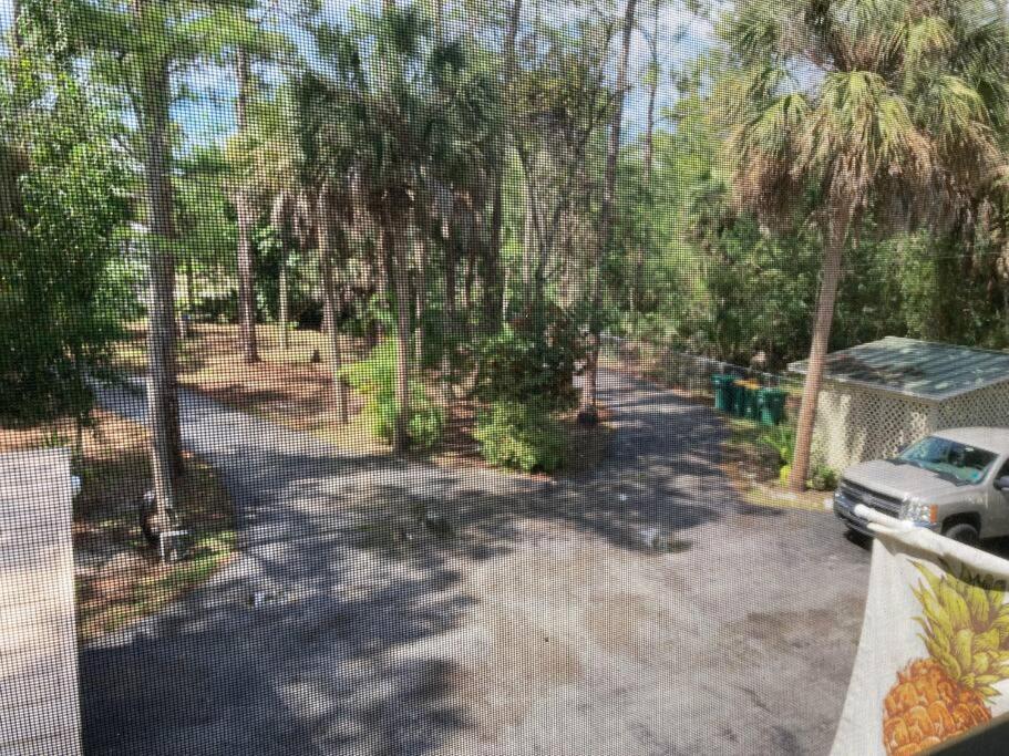 "Mia'S Place" Beautiful Private Apartment Surrounded By Nature North North Naples Εξωτερικό φωτογραφία