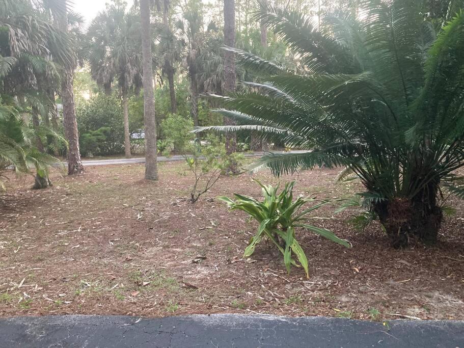 "Mia'S Place" Beautiful Private Apartment Surrounded By Nature North North Naples Εξωτερικό φωτογραφία